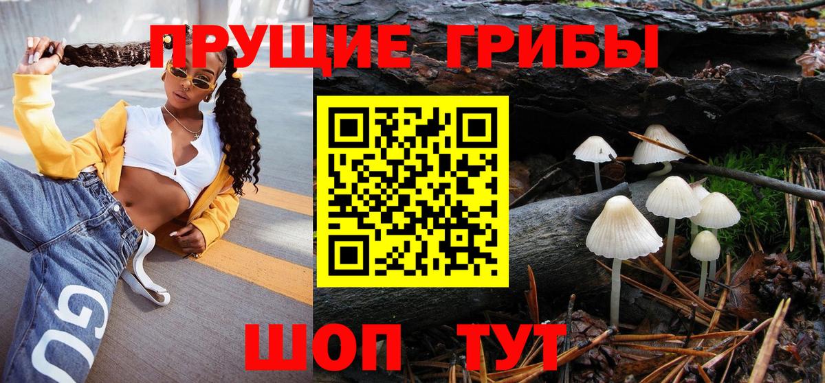 Вологда  Галлюциногенные грибы мухоморы  Вход с VPN 