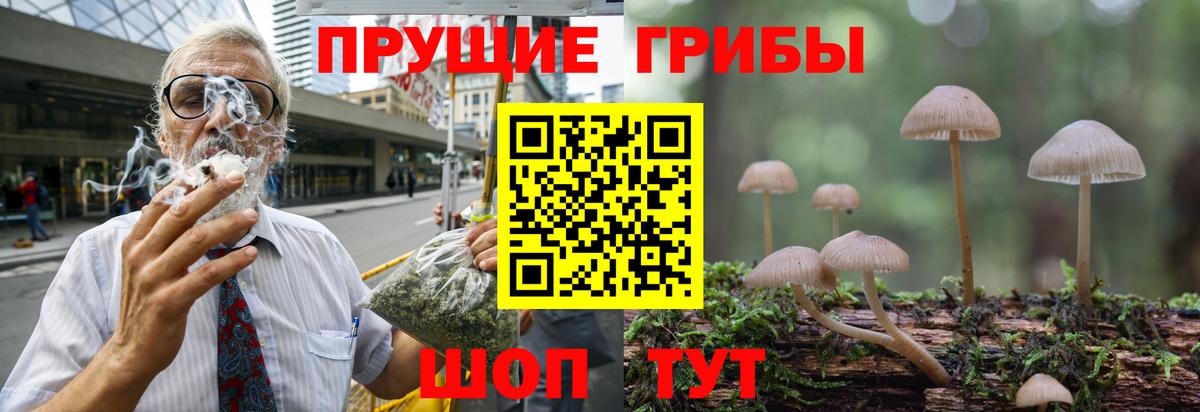 Псилоцибиновые грибы ЛСД Вологда